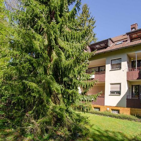 Ferienwohnung Rosi Bad Sachsa Exterior foto